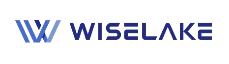 WISELAKE